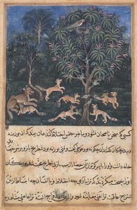 Strona z Opowieści papugi Tuti-nama: Piąta noc: Papuga matka ostrzega..., c. 1560. autorstwa Daswanth