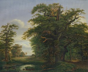 Drewno dębowe, 1847 autorstwa David Christopher Mettlerkamp