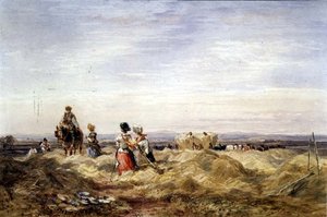 W Hayfield (akwarela) autorstwa David Cox
