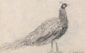 Paw w Capel Curig autorstwa David Cox