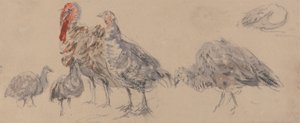 polish autorstwa David Cox