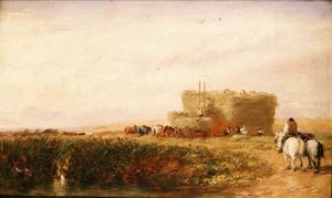 Hayfield autorstwa David Cox