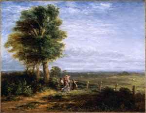 Skowronek, 1849