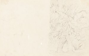 Drzewa [verso] autorstwa David Cox