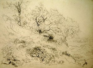 Pejzaż walijski (kreda na papierze) autorstwa David Cox