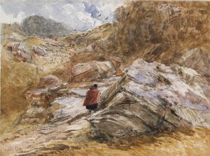 Przełęcz górska w Bettws-y-Coed, 1851 autorstwa David Cox the elder