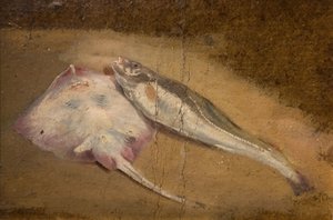 Badanie ryb - łyżwy i dorsze, 1842.