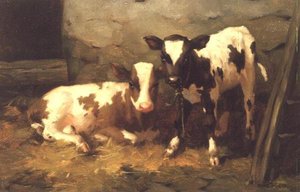 Cielęta w stodole autorstwa David Gauld