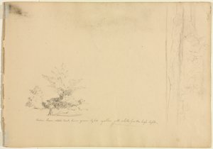 Studia krajobrazowe i drzewiaste wers. 1851. autorstwa David Johnson
