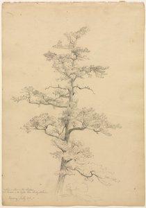Sosna, Conway, New Hampshire recto, c. 1851.