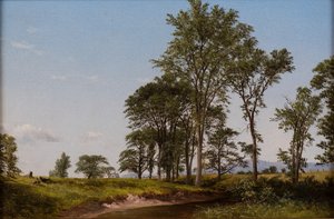 Młode Wiązy autorstwa David Johnson