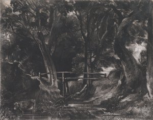 Dell, Helmingham Park, Suffolk, 1830. autorstwa David Lucas
