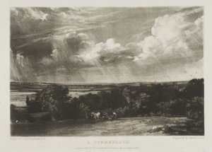 Summerland autorstwa David Lucas