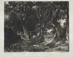 Różne tematy krajobrazu, charakterystyczne dla angielskiej scenerii z obrazów namalowanych przez Johna Constable, RA: Dell in the Woods of Helmingham Park, Suffolk autorstwa David Lucas