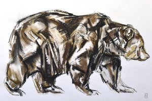 Spacerujący niedźwiedź brunatny, 2012 (Pastel/Conte na papierze)