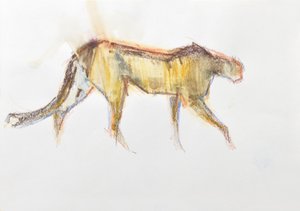 Gepard, 2020 (kredka i akwarela na papierze) autorstwa David Mayer