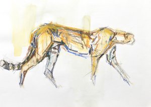 Gepard, 2020 (kredka i akwarela na papierze)