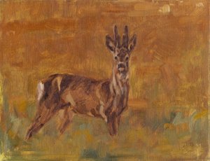 Roe Buck, 2021