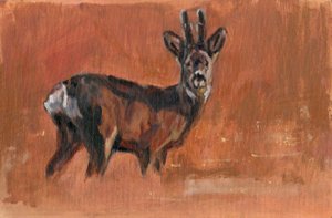 Roe Buck, 2021