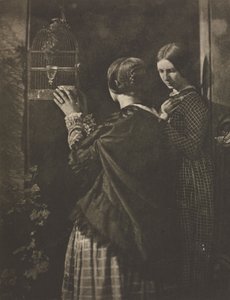 Praca kamery: klatka dla ptaków, 1909. autorstwa David Octavius Hill