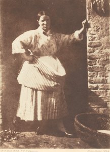 Rybka z Newhaven