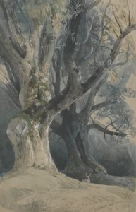 Деревья в Northwick Park Polish autorstwa David Roberts
