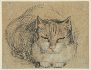 Kot, studium do „The Cut Finger” (recto), ok. 1809 (czarna, czerwono-biała kreda, czarno-biała kreda na kredowanym papierze) autorstwa David Wilkie