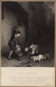 Łowcy szczurów autorstwa David Wilkie