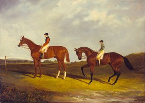 Elis” z J. Day w górze i „Bay Middleton” z J. Robinsonem w górę