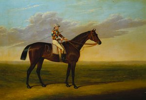 Bay Racehorse Richarda Watta „Rockingham” z Samem Darlingiem na torze wyścigowym