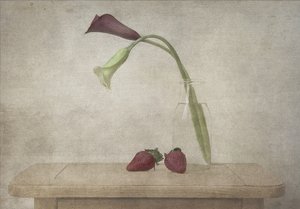  autorstwa Deborah Gugeri