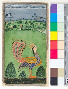 Mityczny paw z kobiecą głową, ok. 1750 (nieprzezroczysty w/c i złoto na papierze)