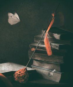 Motyl w stylu „Dark Academia”
