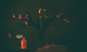 Ciemne, nastrojowe tulipany