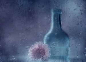 Marzycielska gerbera w deszczu autorstwa Delphine Devos