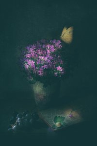 Elegancka martwa natura z motylem autorstwa Delphine Devos