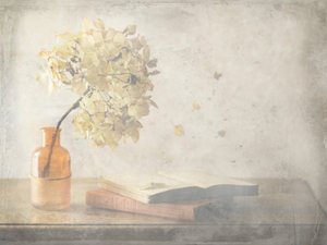 Wyblakła jesienna martwa natura autorstwa Delphine Devos