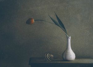 Martwa natura z tulipanami w nastrojowej kompozycji autorstwa Delphine Devos