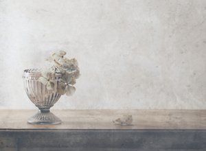 Martwa natura z suszonymi kwiatami w stonowanych barwach autorstwa Delphine Devos