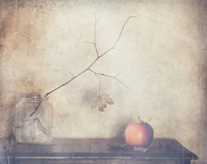 Rustykalna jesienna martwa natura autorstwa Delphine Devos