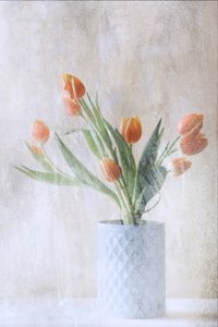  autorstwa Delphine Devos
