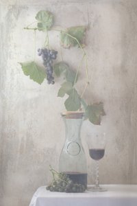 Martwa natura z winogronami w stylu vintage autorstwa Delphine Devos