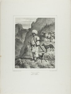 Bannat Shepherd, lewy brzeg Dunaju autorstwa Denis Auguste Marie Raffet