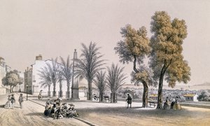 Widok na promenadę palmową w Hyeres na Lazurowym Wybrzeżu autorstwa Deroy