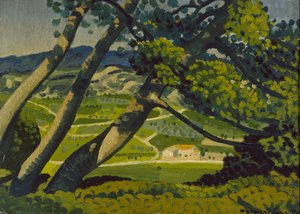 Drzewa, Prowansja, 1912
