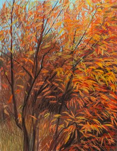 Czerwona wierzba 1a, 2021 (pastel na papierze)
