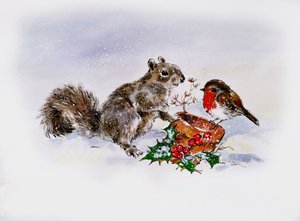 Wiewiórka i Robin