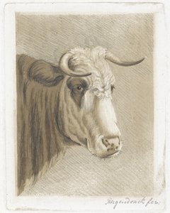 filiżanka ciasteczek autorstwa Diederik Jan Singendonck (signed by artist)