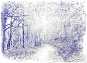 Bosque a contraluz, 2023 (tusz na płótnie)