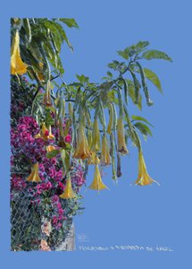 Floripondio, 2022 (grafika cyfrowa wykonana na iPadzie) autorstwa Diego Beyro